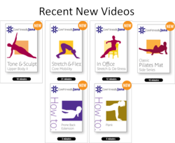 Pilates , Toning and Stretching exercise videos for abs, thighs and back
